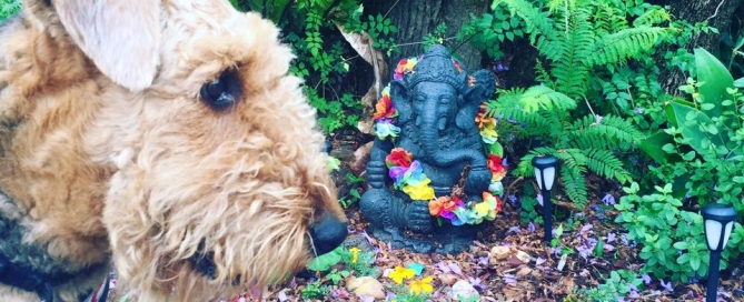 Morning Walk, November 10