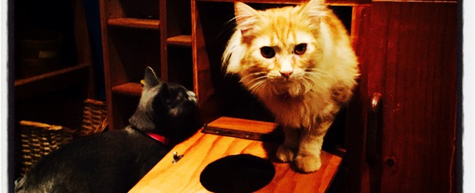 Hansel & Gretel playing in the oven!!!