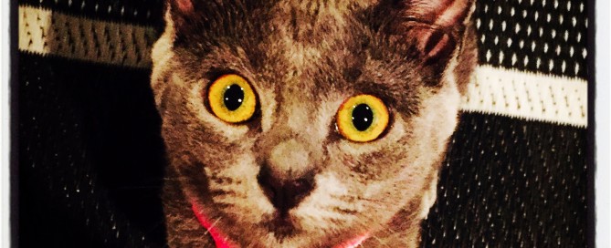 Willow is looking a little creepy!!!