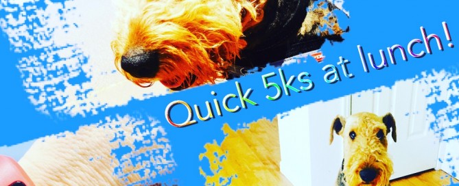 Quick run in our lunch break!!