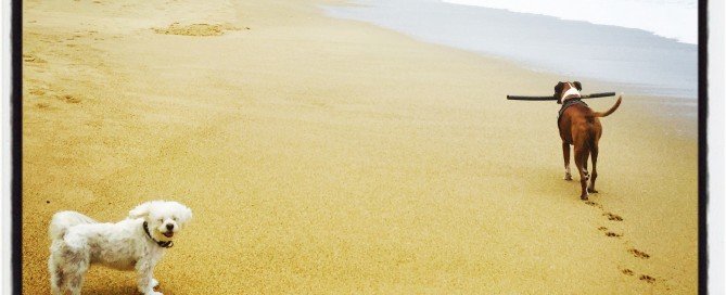 Tino's face says it all!!