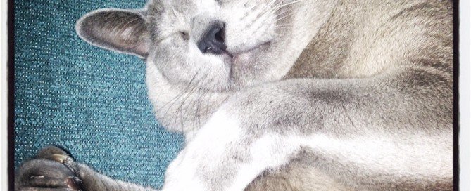 160418-Sleeping beauty