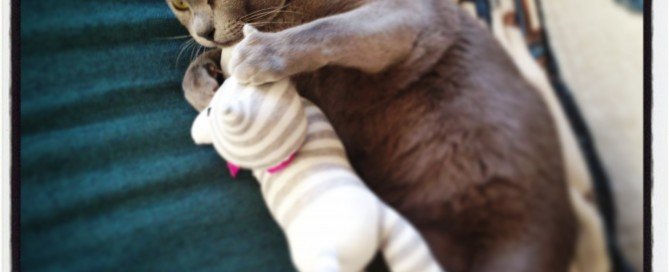 My Baby with his Baby