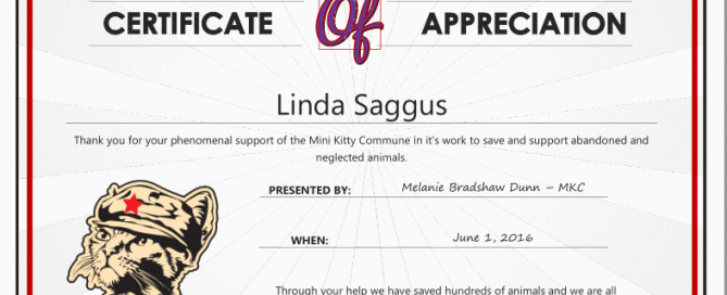 Mini Kitty Commune Certificate of Appreciation-sml